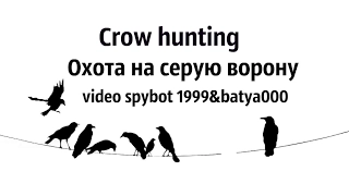 Russian hunting. Crow hunting. Охота на ворону, сороку. По заводам-огородам.