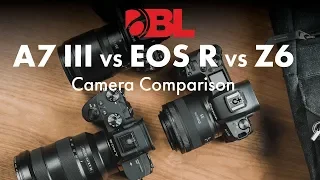 Camera Comparison: Sony a7 III, Nikon Z6, Canon EOS R
