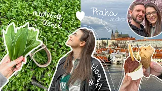 Praha ve dvou, medvědí česnek | vlog #11/2024 | MaruškaVEG