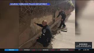 Torrance police quickly cover up massive hate message painted next to a little league field