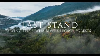Last Stand: Saving the Elwha River's Legacy Forests