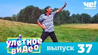 Улетное видео | Выпуск 37