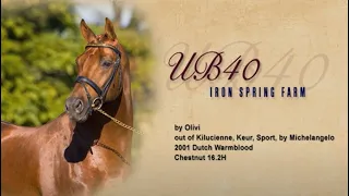 UB40, Keur, at Iron Spring Farm
