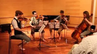 The Lord of the Rings for String Quartet [HD] - I. Introduction