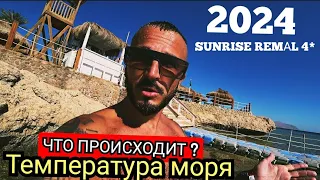 ЕГИПЕТ 🇪🇬 2024 СИТУАЦИЯ НА ПЛЯЖЕ  SUNRISE REMAL RESORT 4* Шарм Эль Шейх Температура воды и Воздуха