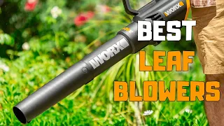 Best Leaf Blowers in 2024 - Top 6 Leaf Blower Picks