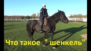 Что такое шенкель