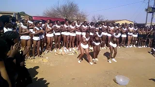 Izintombi zothingo