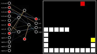 AI destroys Snake using NeuroEvolution of Augmenting Topologies