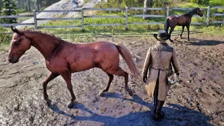 NUNCA HAGAS ESTO CON UN CABALLO | RED DEAD REDEMPTION 2