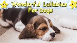 Sleep Music For Beagles Dogs Puppies ♫ Dog Music Relax Your Pet ♥ Soft Piano Lullaby For Animals