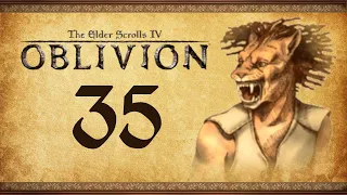 Let's Play Oblivion Again - 35 - Curiosity & The Cat