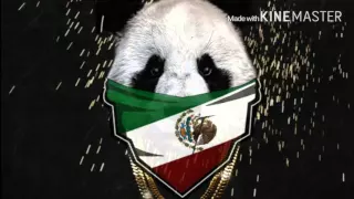 Panda (Spanish Remix ) Eddy Lg Ft. Lil'z