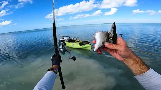 When Fishing Is Slow In The Florida Keys Do This!!