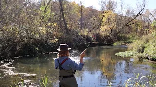 FLY FISHING THE DRIFTLESS REGION: "Should have been here yesterday!" (South Bear Creek Decorah Iowa)