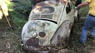 VW Beetle Oval Forest BarnFind