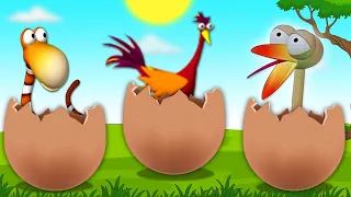 Gazoon - Egg shaped | New Episode | Funny Animals Cartoon Show | Cartoon For Kids