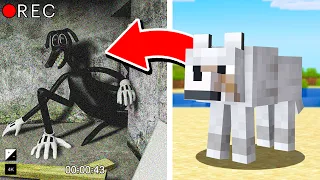 MOBY z MINECRAFT KTÓRE ZŁAPAŁA KAMERA w PRAWDZIWYM ŻYCIU!!!