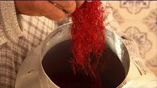 Saffron - How Do They Do It?