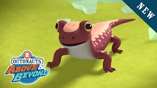 Octonauts: Above & Beyond - The Siberian Salamander | NEW Adventures | @OctonautsandFriends