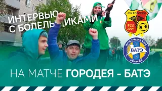 Интервью с болельщиками | Городея 1:0 БАТЭ