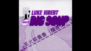 Luke Vibert - BIG SOUP (ALBUM MIX)