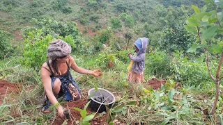 Tree Planting in Malawi