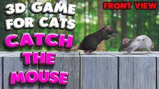 3D game for cats | CATCH THE MOUSE (front view)