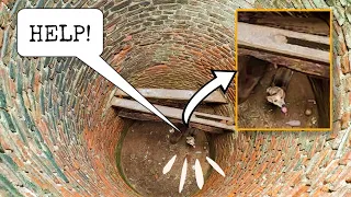 Heartwarming Rescue of the Dog fallen in a Deep well | So Excited when the Rescuers Arrived.