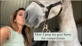 How do you prepare a grey horse for competitions