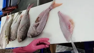 Professional Filleting Fish Skill | Filleting Fish Fast Compilation Fast Filleting Fish Compilation