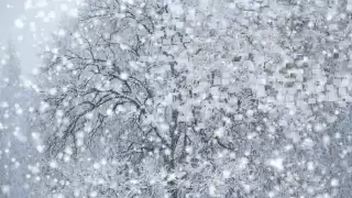 Debussy, Children's corner 4. The snow is dancing