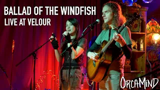 Ballad of the Windfish (Zelda) Live Acoustic | OrcaMind at Velour @michelleheafy @JosiahEverhart