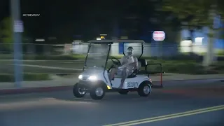 Shirtless suspect leads LA police on bizarre slow-speed chase in golf cart with dog in lap