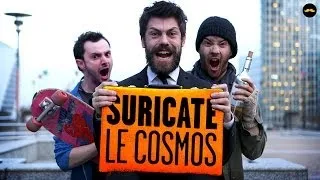 SURICATE - Le cosmos