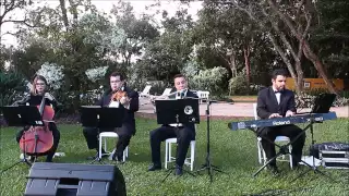 In my life - Beatles - Musical D'amore String Quartet