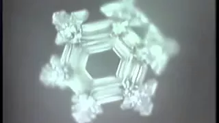 Music Water Crystal Emoto Masaru