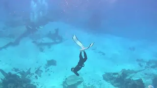 4K Underwater + Music | Nature Relaxation & Sea Video