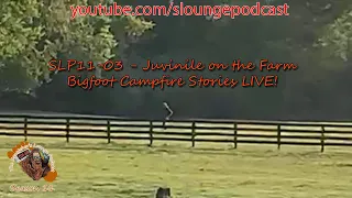 Juvinile Bigfoot found on Farm - SLP11-03