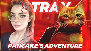 I played the cutest cat game... | STRAY 2022 FULL PLAYTRHOUGH