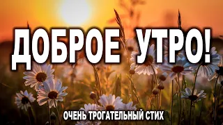 ОЧЕНЬ ТРОГАТЕЛЬНЫЙ СТИХ. С ДОБРЫМ УТРОМ! ДОБРОЕ УТРЕЧКО ХОРОШЕГО ДНЯ! Читает Григорий Манукян