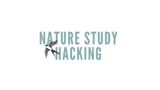 NATURE STUDY HACKING| HOW I CAME TO MAKE THESE BOOKS FOR OUR CHARLOTTE MASON HOMESCHOOL