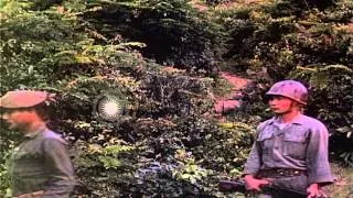 Vietcong prisoners interrogated by Vietnam intelligence officer and U.S. MAAG tea...HD Stock Footage