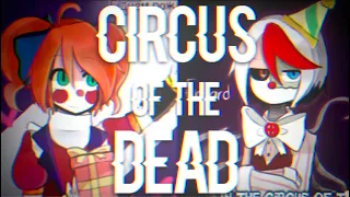 ⧔Nightcore⧕ → Circus of the Dead (Switching Vocals) |Lyrics|