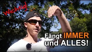 Richtig Jiggen und besser fangen!