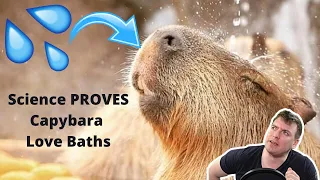 Science *PROVES* Capybaras Love Hot Baths