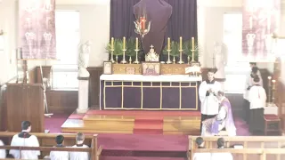 SSPXNZLIVE Livestream - 14 April 2019 High Mass