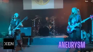 XEN Performs Aneurysm