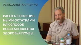 Здоровье почвы. Работа с пожнивными остатками как способ восстановления здоровья почвы