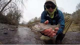 Chasin' the Dream - Fly Fishing Western NC